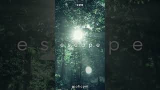 Escape 🧞‍♂️ Explore  🔎Dream 💭 Discover 🐲 Welcome to #Lofi CPM #lofiradio #chillbeats #chillhop