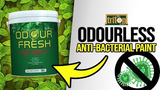 ODOUR FRESH Odorless Antibacterial Paint