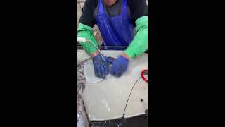 Skillful fresh fish processing