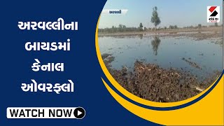 #aravalli ના Bayad માં કેનાલ ઓવરફ્લો@SandeshNewsTV