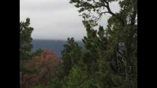 East Mountains - New Mexico