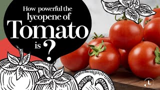 How powerful the Lycopene of tomato is ?  \