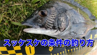 [大和屋]　豊洲ぐるり公園ヘチ釣り11月のヒットパターン