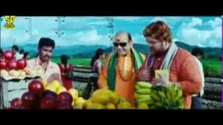 AVS Superb Comedy with his Assistant | Comedy Scene | Alasyam Amrutham Movie