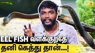 EEL FISH-ல விஷம் இருக்கா ? : வியப்பூட்டும் EEL மீன்கள் | The Amazing Lifestyle Of A Eel Fish