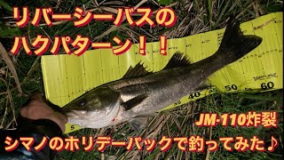 【リバーシーバス】のハクパターンをホリデーパック20-210とJM-110で挑む！