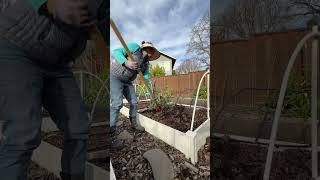 Garden maintenance, winter sowing👩‍🌾🪴