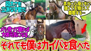 ダービーで勝った後も…凱旋門で泥だらけになった日も…有馬記念で復活勝利を果たした時も…に対するみんなの反応！【競馬 の反応集】