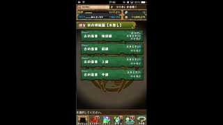 [パズドラ]水の神秘龍地獄級