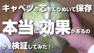 キャベツの芯をくりぬいて保存するとほんとに長持ちするの？検証してみたら驚きの結果に！