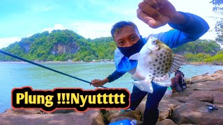 Mancing ikan kiper di muara pantai