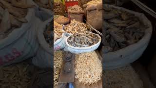 West Bangal’s Fish Market || Dried Fish Market || #wholesale #market #shorts