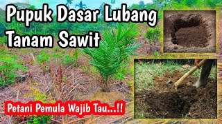 inilah Pupuk Dasar Sawit Untuk lubang Tanam