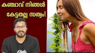 കഞ്ചാവ് LEGALISE  ചെയ്തില്ലെങ്കിൽ ഉള്ള കുഴപ്പങ്ങൾ   | Mallu Analyst | Analysis