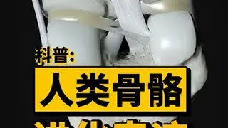 人体的奥秘：一分钟了解人类骨骼的进化奇迹科普 人体 骨骼 进化