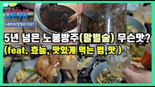 5년 된 노봉방주(말벌주)는 무슨 맛일까? 노봉방주(말벌주)의 효능과 시음 후기, 담그는 법!