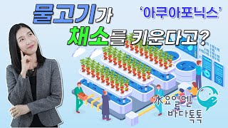 2022 수요일엔 바다톡톡 해양강좌 [서울-8회 도입강연] 물고기가 채소를 키운다고? - 아쿠아포닉스