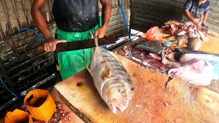 Witness Unbelievable Golden Trevally Fish Cutting Skills At the Peliyagoda Fish Market In Sri Lanka!