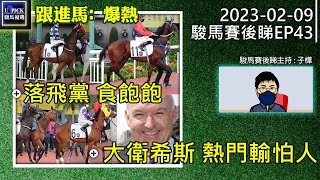 【賽馬貼士】 駿馬賽後睇《2023年2月8日》 2022-23馬季 EP43 #大衛希斯 熱門輸怕人 / #落飛黨 食飽飽 / #跟進馬 :爆熱