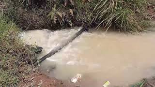 The country selling it's wetlands - why swamps are so vital? -save the earth now