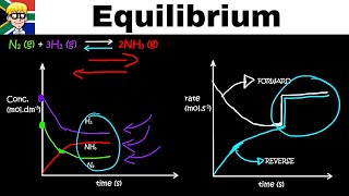 Equilibrium Graphs grade 12: Catalyst