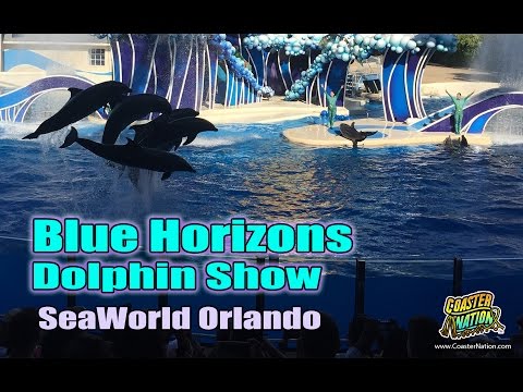 Blue Horizons Dolphin Show