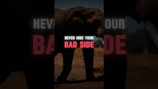 Motivational Quote | Never hide your bad side ... #shorts #bereal #badboyquotes