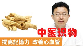 西洋參的功效與作用【保健養生】生生不息┃改善心血管┃提高記憶力┃預防老年癡呆┃西洋參補氣┃改善心肌缺血