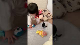 2歳、アンパンマン達を一気に持ちたい#shorts