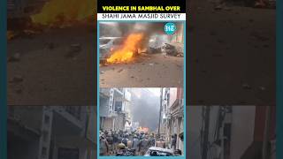 Violence Erupts In Sambhal: Stone Pelting, Vehicles  Set Ablaze During Shahi Jama Masjid Survey