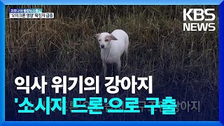 [글로벌K] ‘소시지 드론’으로 습지서 구조된 강아지 / KBS  2022.01.24.