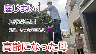 【庭じまい】庭木が大きくなったので伐採しました。たくさんの庭木、これからどうする⁉️