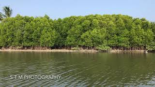 Chettuva Backwaters