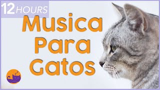 💫Música Magica para Gatos💫  Relájese y Calme a su Felino al Instante