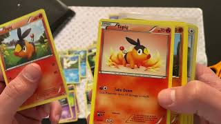 75+ Card TCGPlayer Order! ONE SELLER! Pokémon Card Master Set Collecting