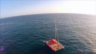 Maxicat Catamaran Trip Tenerife. Cheap Excursions. Dolphins \u0026 whales