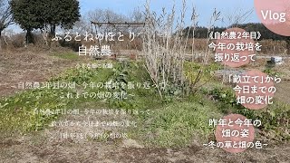 自然農2年目の畑〜今年の栽培を振り返って〜昨年と今年の野菜や草の育ち方を比較〜