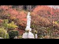 高蔵寺　紅葉　丹波篠山市　兵庫県