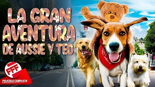 LA GRAN AVENTURA DE AUSSIE Y TED | Película Completa PARA TODA LA FAMILIA en Español