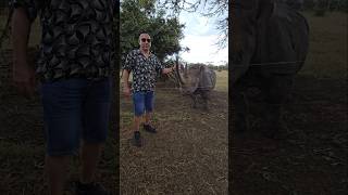 Upclose Encounter with Black Rhino🦏 | Ol Pejeta Kenya