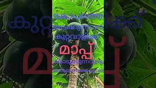 ഏത് നല്ല കാര്യം ചെയ്യുന്നതിനുമുമ്പും, ശരിയായ ഉപദേശം സ്വീകരിക്കുന്നവൻ ഒരിടത്തും പരാജയപ്പെടില്ല.