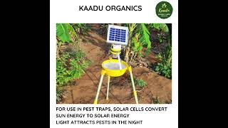 KAADU ORGANICS SOLAR TRAP