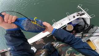 Bob Primmer`s  Fishing Workshop 3 Brisbane Waters Central Coast NSW