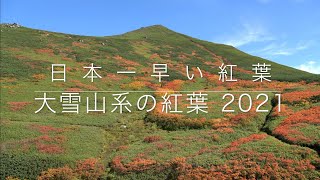 日本一早い紅葉　大雪山系の紅葉 2021【高画質】