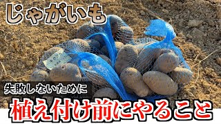 【じゃがいも】植え付け前に必ずやること