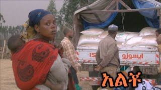 በአሜሪካ አትላንታ የሚኖሩ የስልጤ ተወላጆች በአልቾ የእሳት አደጋ ለደረሰባቸው ወገኖች ያደረጉት ድጋፍ