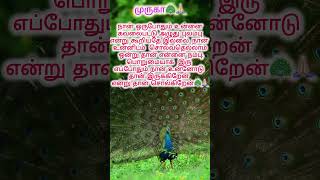 என்னை நம்பு🦚🙏🏻#murugan #murugansongs#shorts #short #shortvideo #shortsvideo #music#youtubeshorts