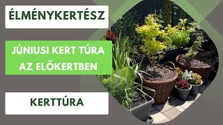 Kerttúra az előkertben júniusban🌸🍁