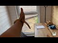 luxus auf 45 qm. unser chalet modell canada tinyhouse youtube