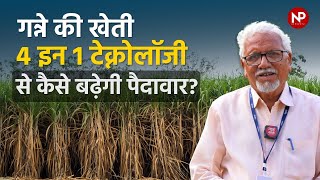 गन्ने की खेती की 4 इन 1 तकनीक || Sugarcane Cultivation New Technology Four In One || Ganna ki Kheti